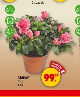 AZALKA