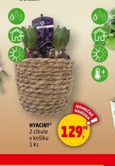 HYACINT
