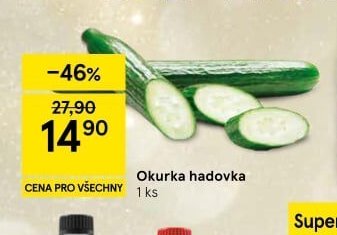 Okurka hadovka