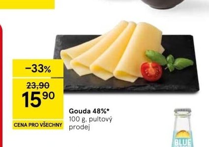 Gouda 48% 100 g