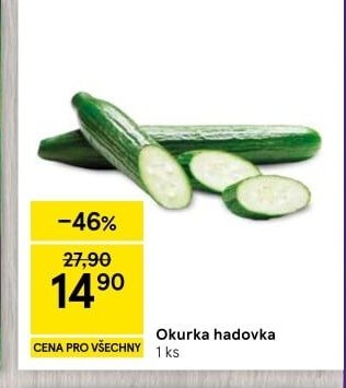 Okurka hadovka