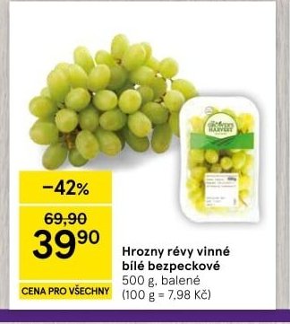 Hrozny révy vinné bílé bezpeckové