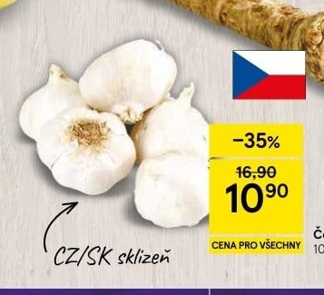Česnek