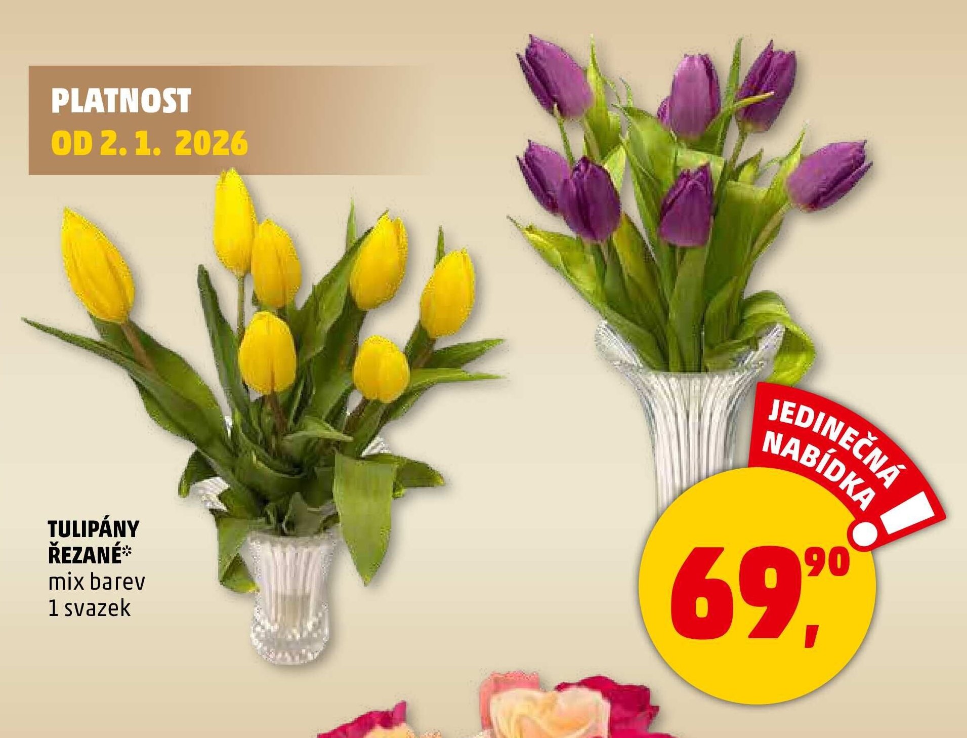 Tulipány řezané mix barev