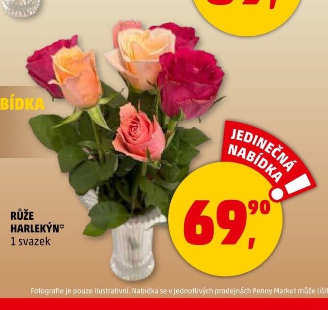 Růže Harlekýn