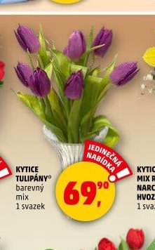 KYTICE TULIPÁNY