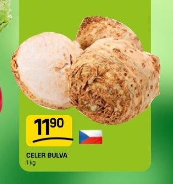 Celer bulva