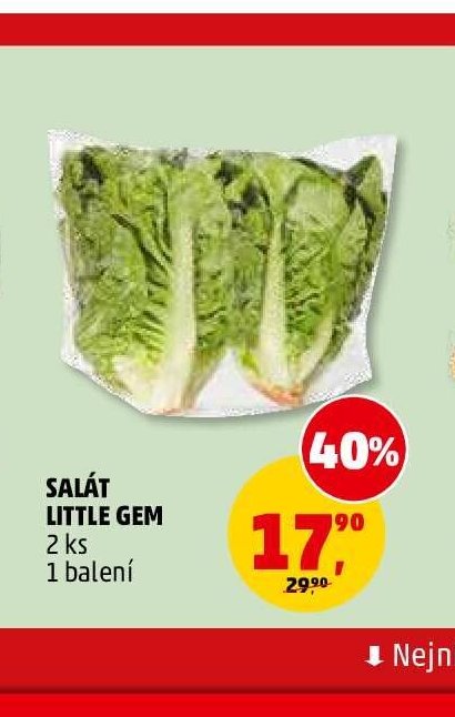 SALÁT LITTLE GEM