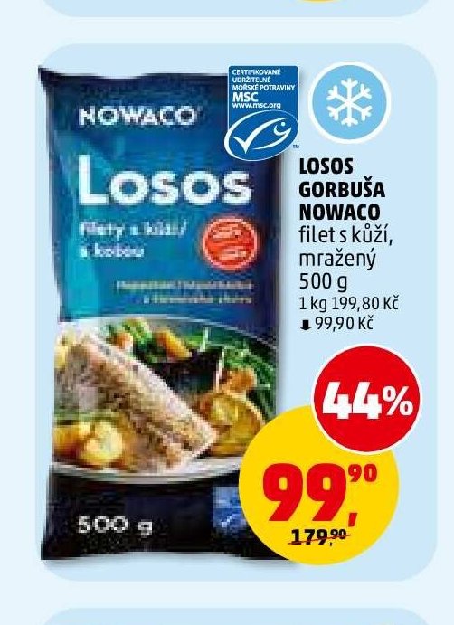 LOSOS GORBUŠA NOWACO