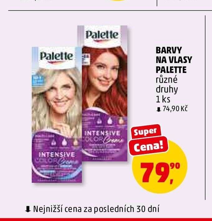 BARVY NA VLASY PALETTE různé druhy