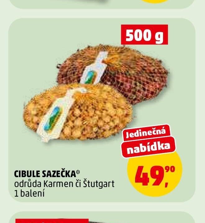 CIBULE SAZEČKA