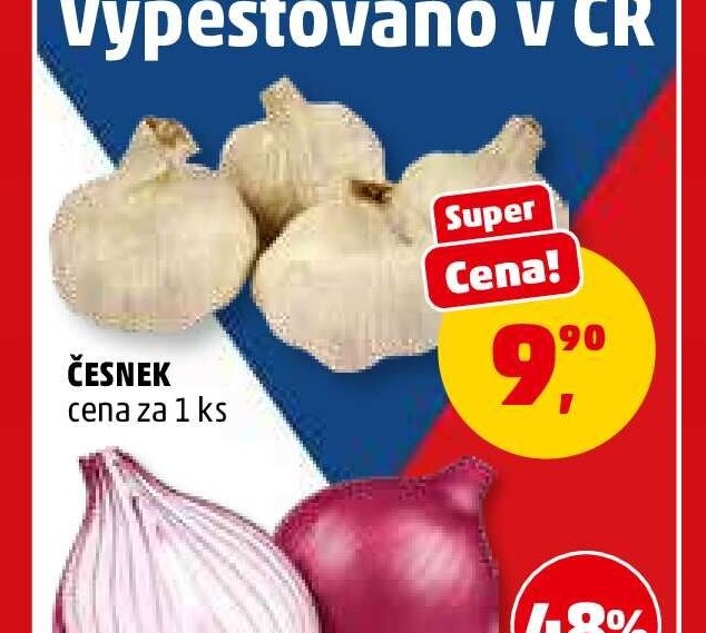 Česnek