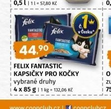 FELIX FANTASTIC