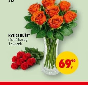 KYTICE RŮŽE různé barvy