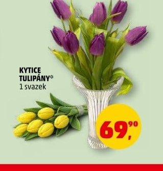 KYTICE TULIPÁNY