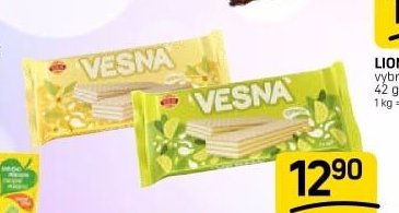 VESNA