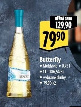 Butterfly