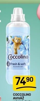 COCCOLINO AVIVÁŽ