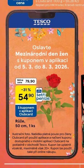 Růže