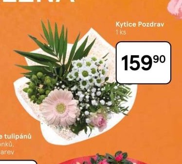 Kytice Pozdrav