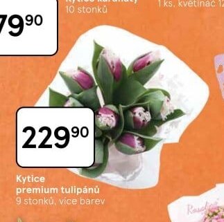 Kytice premium tulipánů