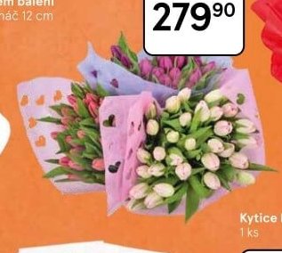 Kytice tulipánů