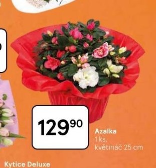 Azalka