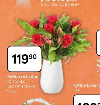 Kytice růže duo