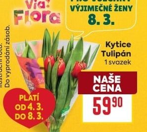 Kytice Tulipán