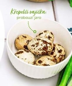 Křepelčí vajíčka