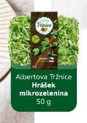 Hrášek mikrozelenina