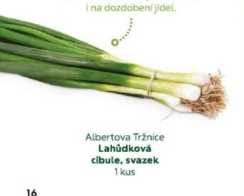 Albertova Tržnice Lahůdková cibule, svazek