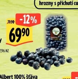 Albert Borůvky
