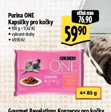 Purina ONE Kapsičky pro kočky