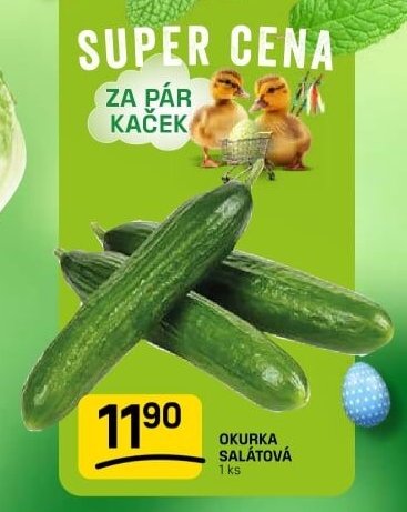 Okurka salátová