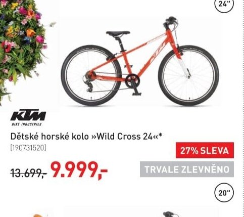 Dětské horské kolo »Wild Cross 24«*
