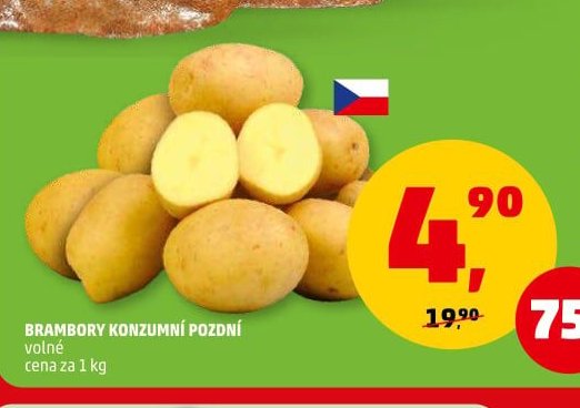 Brambory konzumní pozdní