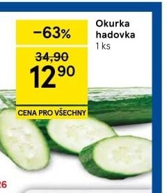 Okurka hadovka