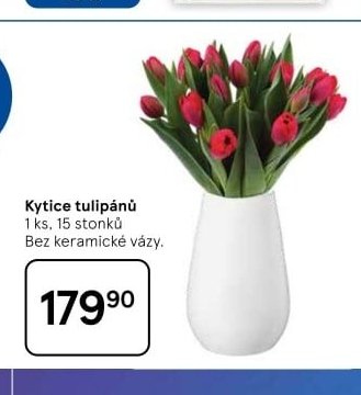 Kytice tulipánů 1 ks