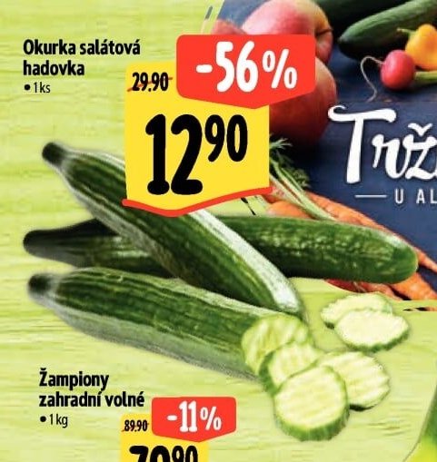 Okurka salátová hadovka