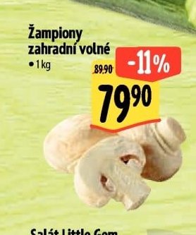 Žampiony zahradní volné