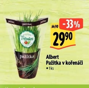 Albert Pažitka v kořenáči