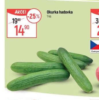 Okurka hadovka