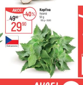 Kopřiva řezaná
