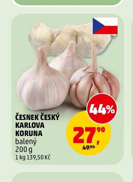 ČESNEK ČESKÝ KARLOVA KORUNA