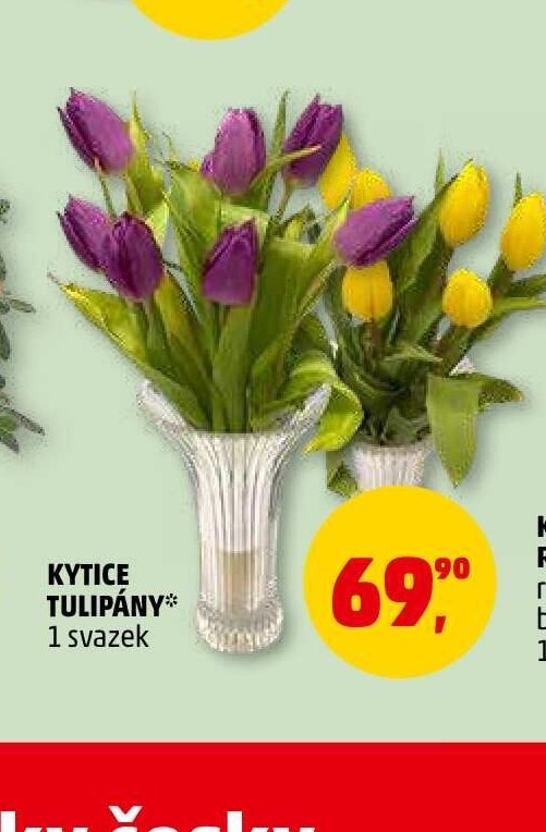 KYTICE TULIPÁNY