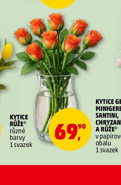 KYTICE RŮŽE