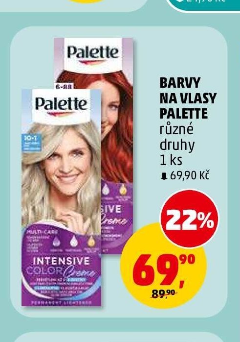 Barvy na vlasy Palette