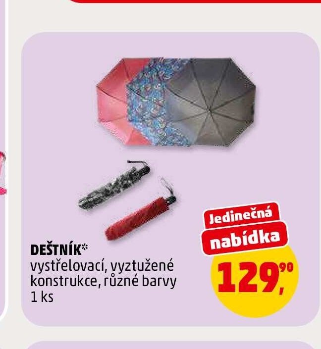 DEŠTNÍK
