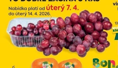 Hrozny révy vinné tmavé
